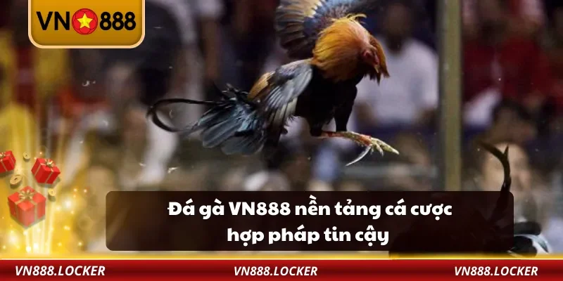 Đá Gà 1 Đá gà VN888 nền tảng cá cược hợp pháp tin cậy
